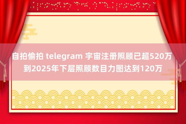 自拍偷拍 telegram 宇宙注册照顾已超520万 到2025年下层照顾数目力图达到120万