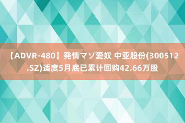 【ADVR-480】発情マゾ愛奴 中亚股份(300512.SZ)适度5月底已累计回购42.66万股