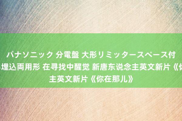 パナソニック 分電盤 大形リミッタースペース付 露出・半埋込両用形 在寻找中醒觉 新唐东说念主英文新片《你在那儿》